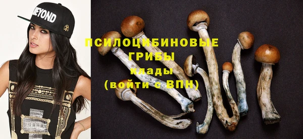 хмурый Алзамай