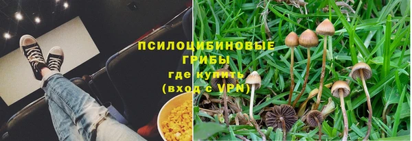 хмурый Алзамай