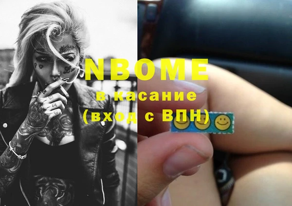 хмурый Алзамай
