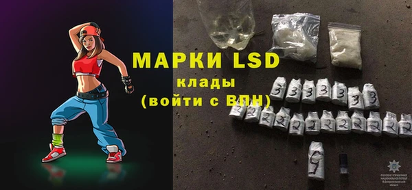 хмурый Алзамай