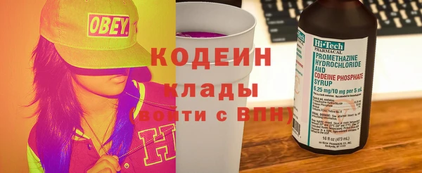 хмурый Алзамай