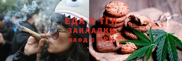хмурый Алзамай