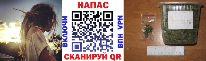 Каннабис AK-47  где продают   дарк нет какой сайт  Качканар 